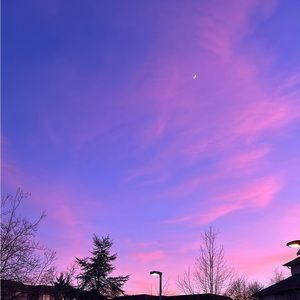 Meet your Posher, Nika